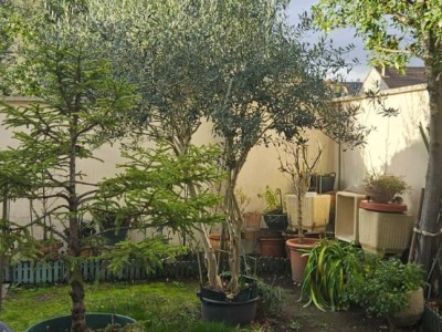 MAISON A VENDRE - JOINVILLE LE PONT - 110 m2 - 799 000 &euro;