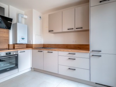 APPARTEMENT T3 A VENDRE - MAISONS ALFORT - 61.19 m2 - 465 000 &euro;