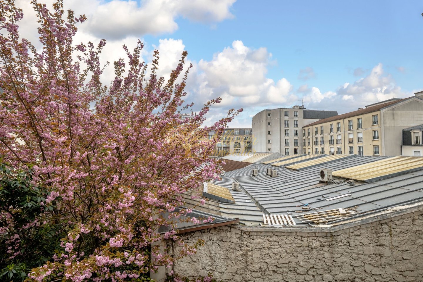 APPARTEMENT T3 A VENDRE - MAISONS ALFORT - 61.19 m2 - 465 000 &euro;